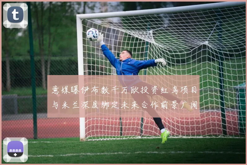意媒曝伊布数千万欧投资红鸟项目与米兰深度绑定未来合作前景广阔